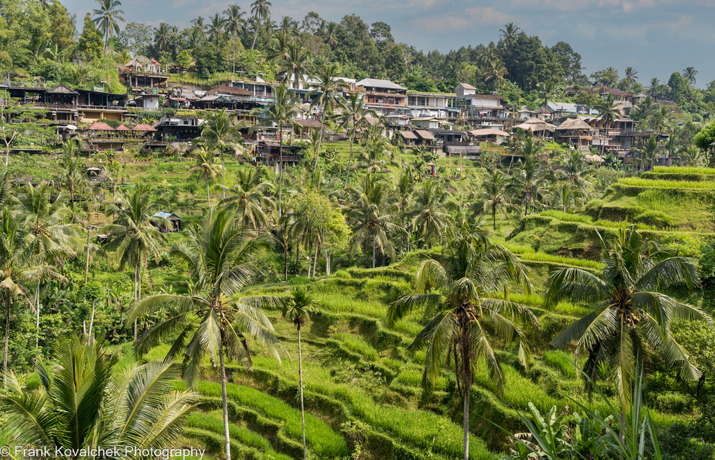Tegalalang rice terrace Bali